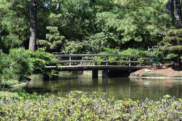 The Japanese Garden within Hermann Park are picturesque and peaceful standing upon the small wooden bridge overlooking the water.