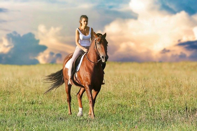 Horseback riding across the plains is a Texas sport loved by many.